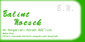 balint mocsek business card